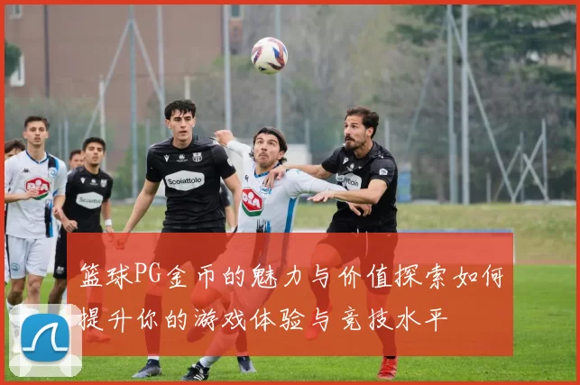 篮球PG金币的魅力与价值探索如何提升你的游戏体验与竞技水平